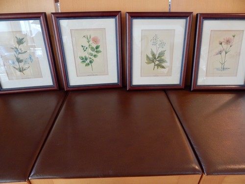 Set four framed antique - four,
