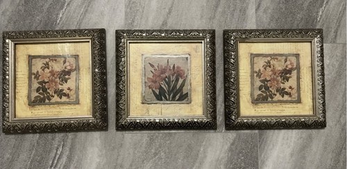 Vintage framed botanical - 3,